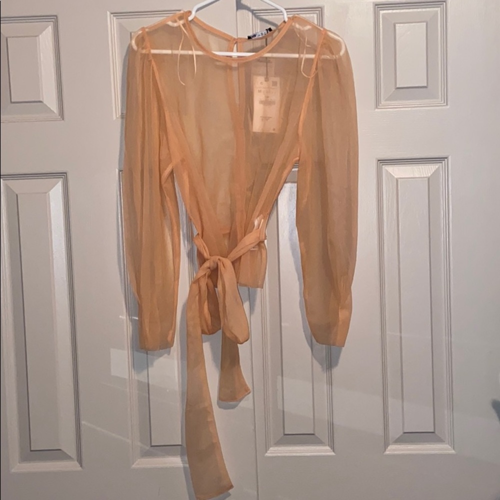 Zara Sheer Tulle Top